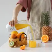 Reiko 350ML Portable Blender With USB Rechargeable Batteries