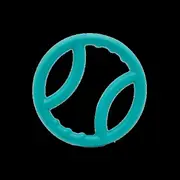 Zippypaws Zippytuff Squeaky Ring Fetch Dog Toy Teal