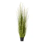 [James Lane] Fox Tail Grass Green/White - 70cm x 70cm x 170cm