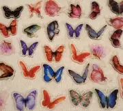 25 Kawaii Butterfly Acrylic Double Side Clear Flatback Planar Charm Cabochon Lot