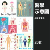 在飛比找蝦皮購物優惠-【設計素材】人體器官骨骼血管醫學構造圖說明圖扁平插畫圖片ai