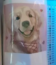 Paint by Number Kits Golden Retriever Dog Acrylic Paint for Adults 16x20in