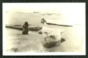 Bering Sea rppc Eskimo Seal Hunting Gun Harpoon Alaska 50s
