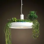 老莫優選會 設計款鋁材餐廳吊燈花盆空中花園盆栽植物吊燈 不含植物