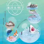 ☆滴兒選物☆ 現貨 正版 QUALIA 海洋生物盆景品 P2 第二彈 飼育球 壓克力球 生態球 扭蛋 轉蛋 全五款