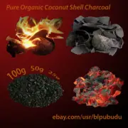 Activated Coconut Shell Charcoal Organic Pure Carbon Natural Chips Ceylon 100g