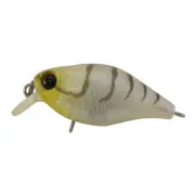 NEW Jackall Chubby Shallow Lure By Anaconda