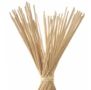 Set of (50) 12" Reed Sticks Essential Trading Post Oils