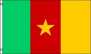 Cameroon Polyester Flag (5ft x 3ft)