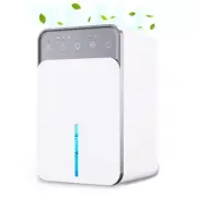 Advanced Dehumidifier: Defrost Function, Timer, Silent Sleep Mode, Night Light