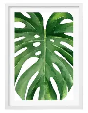 [Profile Australia] Australian Made Monstera Leaf Art Print A2 in White Frame