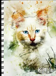 Password Web Address Book 'Pretty Kitty"