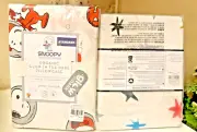Snoopy Pottery Barn School peanuts Pillowcase Halloween Holiday Dog+ Space SET 2