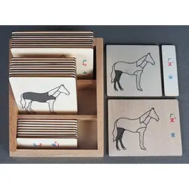 3-6歲蒙特梭利語文教具：動物部分名稱三段卡：馬（注音，含盒）