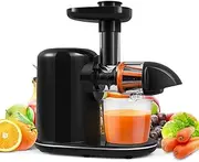 Slow Masticating Juicer Extractor, Juicer Machine, Cold Press Juicer with Quiet Motor and Reverse Function, Anti-Clogging with Brush for Fresh Fruits and Vegetables Juice