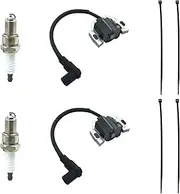 2 Sets of 21171-0743 Ignition Coil Module for Kawasaki FR691V FR730V FR541V FR651V FR600V FS FX Series Lawn Mowers Engines Replaces for KM 21171-0743 21171-0711