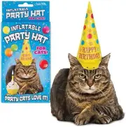 Birthday Inflatable Cat / Dog Party Costume Hat - SO FUNNY! ~ Archie McPhee
