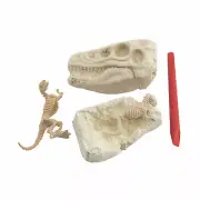 Dig & Discover Excavation Dinosaur Heads, Toys, 12 Pieces