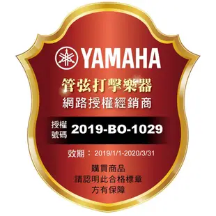 Yamaha 吉他音箱 THR10II