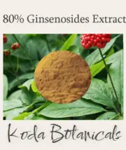 AMERICAN GINSENG 80% ginsenosides EXTRACT POWDER Panax quinquefolius