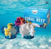 Crystal Growing Coral Reef Made in Taiwan Non-Toxic and safe Terraforming Kit