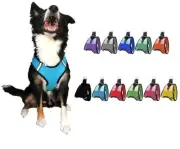 Nylon Mesh Easy Step-In Quick-Release Padded Soft Puppy Pet Dog Harness