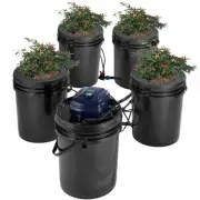VEVOR RDWC Hydroponics System Recirculating Deep Water Culture 4 Buckets 20L