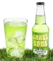 Rocket Fizz Grass-flavored Soda Pop, 12 oz. Bottle. Unique, Weird, Soda Flavor
