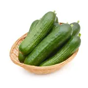 Cucumber - Muncher Burpless seeds