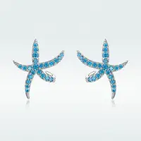 在飛比找蝦皮購物優惠-時尚純銀海星耳環s925耳環五角星歐美女生耳飾工廠直銷