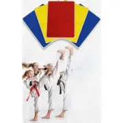 Reusable Taekwondo Training Performance Board High Strength and Functional ABS