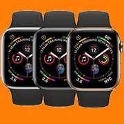 Apple Watch Series 4 Stainless Steel (44MM)