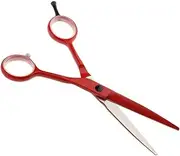 6 Inch Hair Cutting Scissors Professional Hairdressing Salon Barber Shears