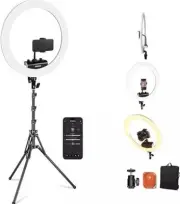 NEEWER Professional Ring Light with Stand and Phone Holder,