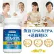 日本 SUNTORY 三得利 魚油 DHA＆EPA+芝麻明EX (120錠)【特價】§異國精品§｜全場下殺↘滿額再享折扣