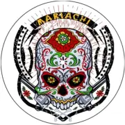 Slipmat Scratch Pad Felt for any 7" Turntable 45 DJ Record Player SKULL TATTOO