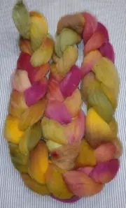 Fine Wool Combed Top Roving Spinning Handpainted Dyed Felt USA NWT Autumn Eve