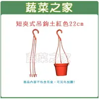 在飛比找樂天市場購物網優惠-【蔬菜之家005-L073】短夾式吊鉤22CM-土紅色