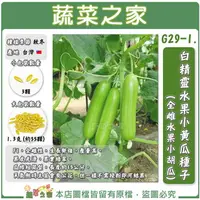 在飛比找樂天市場購物網優惠-【蔬菜之家】G29-1.白精靈水果小黃瓜種子(全雌水果小胡瓜