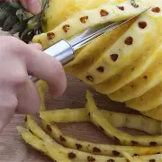 Stainless Steel Pineapple Eye Remover Fruit Peeler Slicer Cutter Kitchen Too-OA