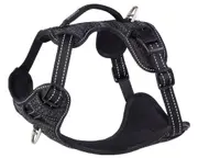 ROGZ EXPLORE HARNESS BLACK MEDIUM