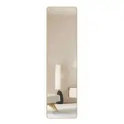 Wall Mounted Full Length Mirror