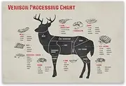FHMDREUP Meat Cutting Poster Venison Deer Butcher Processing Chart Canvas Wall Decor Art Painting Prints on Modern Posters for Kitchen Supermarket Butche Shop Unframed 12x16inch