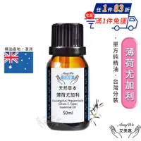 在飛比找PChome24h購物優惠-【Amywo艾美窩】純薄荷尤加利精油 50ml