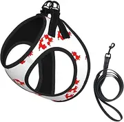 Swiss Flag Map print Dog Harness and Leash Set, Reflective Adjustable Puppy Vest for Small Medium Large Dogs, Cats