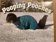 Gag Gifts - 2025 Wall Calendar, White Elephants Pooping Dogs, 2025 Calendar from