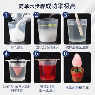 兒童種植水晶花圣誕樹3益智玩具6-12歲小學生女童男孩生日禮物