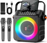 Karaoke Machine with 2 Wireless Microphones: Portable Karaoke Machine for Adult