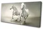 White Horses Herd Galloping Modern Animals SINGLE CANVAS WALL ART Picture Print