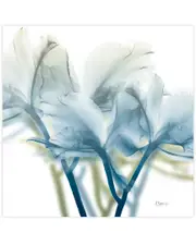 Empire Art Direct Unfocused Beauty 3 by Albert Koetsier Wall Art